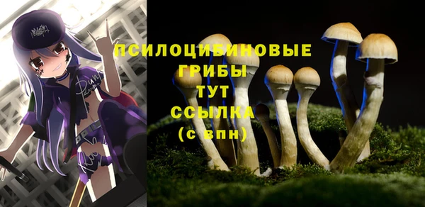 прущая мука Семёнов